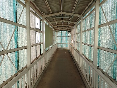 �{�Ô��w�摜