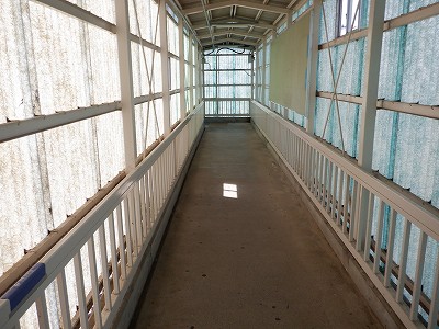 �{�Ô��w�摜