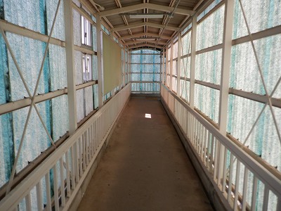 �{�Ô��w�摜