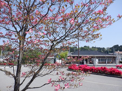 �{�Ô��w�摜