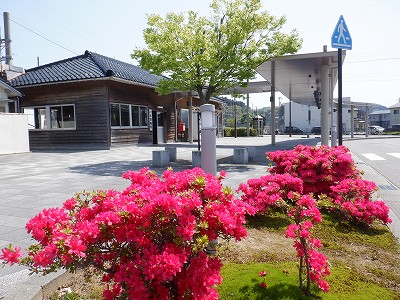 �{�Ô��w�摜