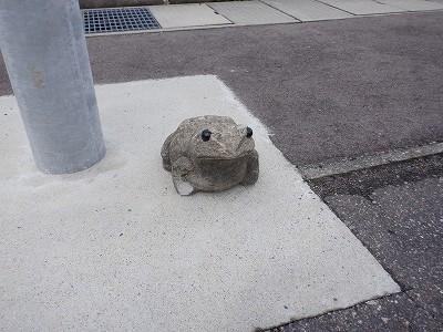 �{�Ô��w�摜