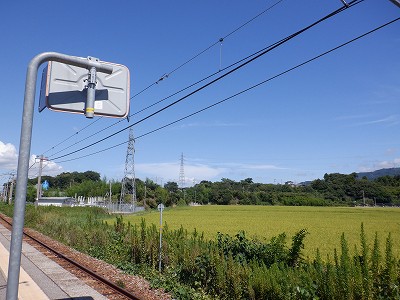 Ɠcw摜