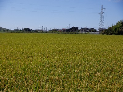 Ɠcw摜