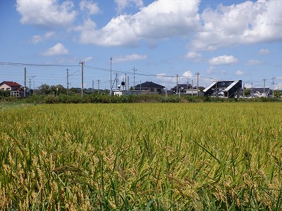 Ɠcw摜