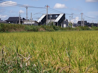Ɠcw摜