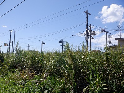 Ɠcw摜
