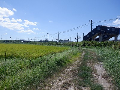 Ɠcw摜