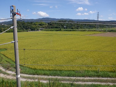 Ɠcw摜