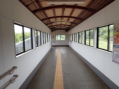 �a�q����w�摜