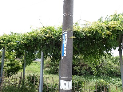 �a�q����w�摜