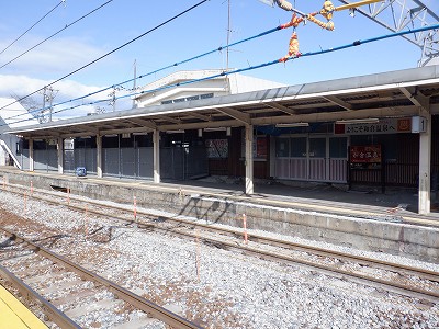 �a�q����w�摜