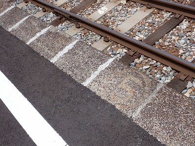 �a�q����w�摜