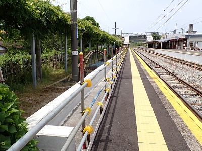 �a�q����w�摜