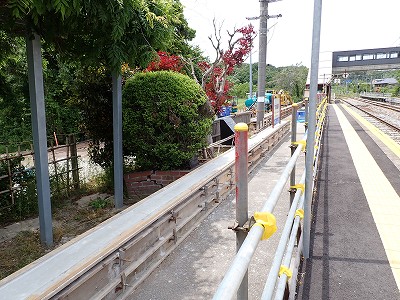 �a�q����w�摜