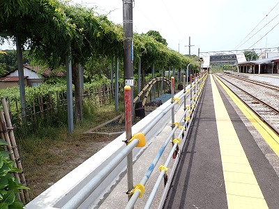 �a�q����w�摜