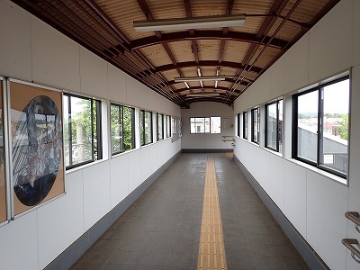 �a�q����w�摜