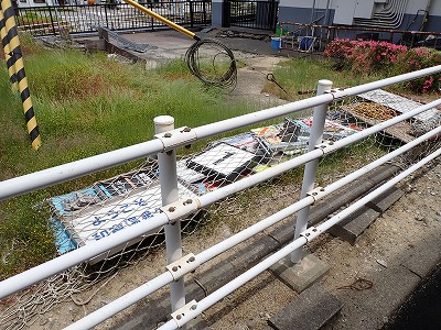 �a�q����w�摜