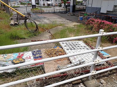 �a�q����w�摜