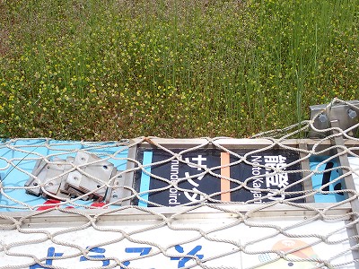 �a�q����w�摜