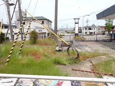 �a�q����w�摜