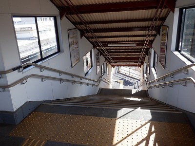 �a�q����w�摜