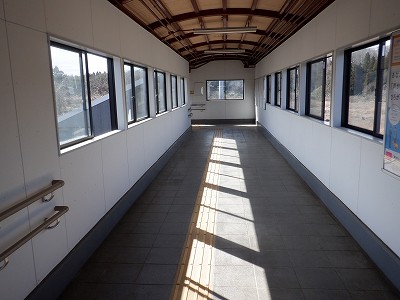 �a�q����w�摜