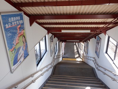 �a�q����w�摜