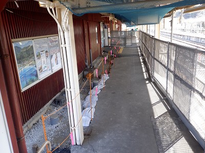 �a�q����w�摜