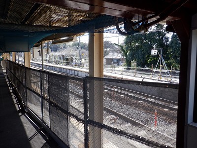 �a�q����w�摜