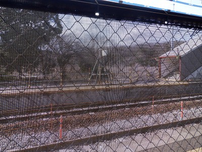 �a�q����w�摜