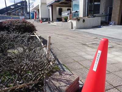 �a�q����w�摜