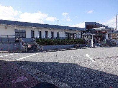 �a�q����w�摜