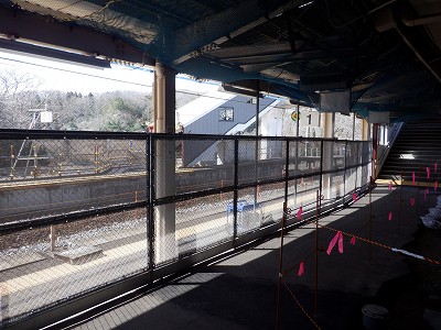 �a�q����w�摜