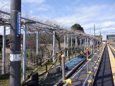 �a�q����w�摜