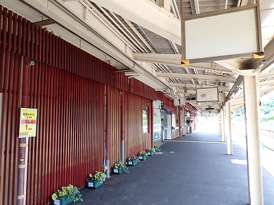 �a�q����w�摜