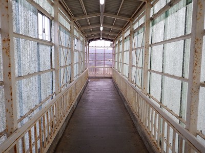 Rw摜