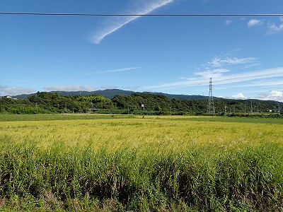 Ɠcw摜