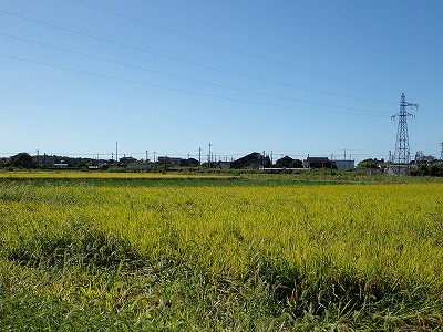 Ɠcw摜