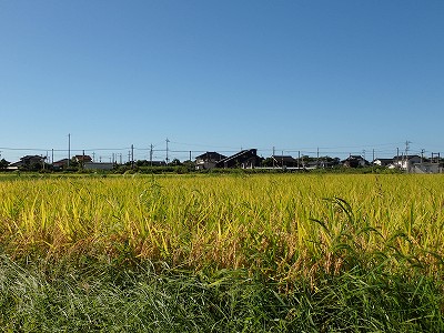 Ɠcw摜