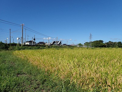 Ɠcw摜