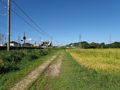 Ɠcw摜