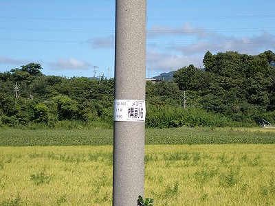 Ɠcw摜