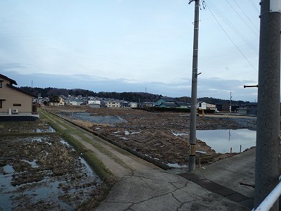 �\���w�摜