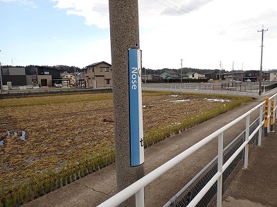 �\���w�摜