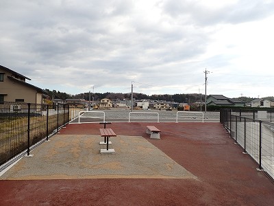 �\���w�摜