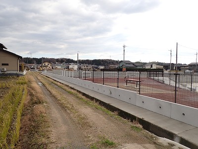 �\���w�摜