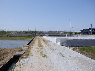 �\���w�摜