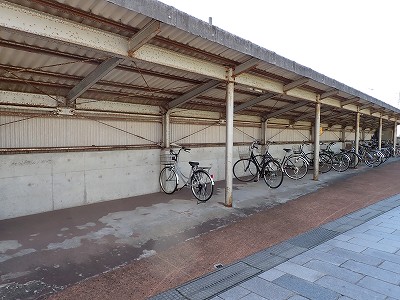 �\���w�摜