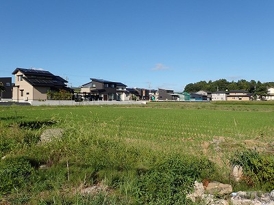 �\���w�摜